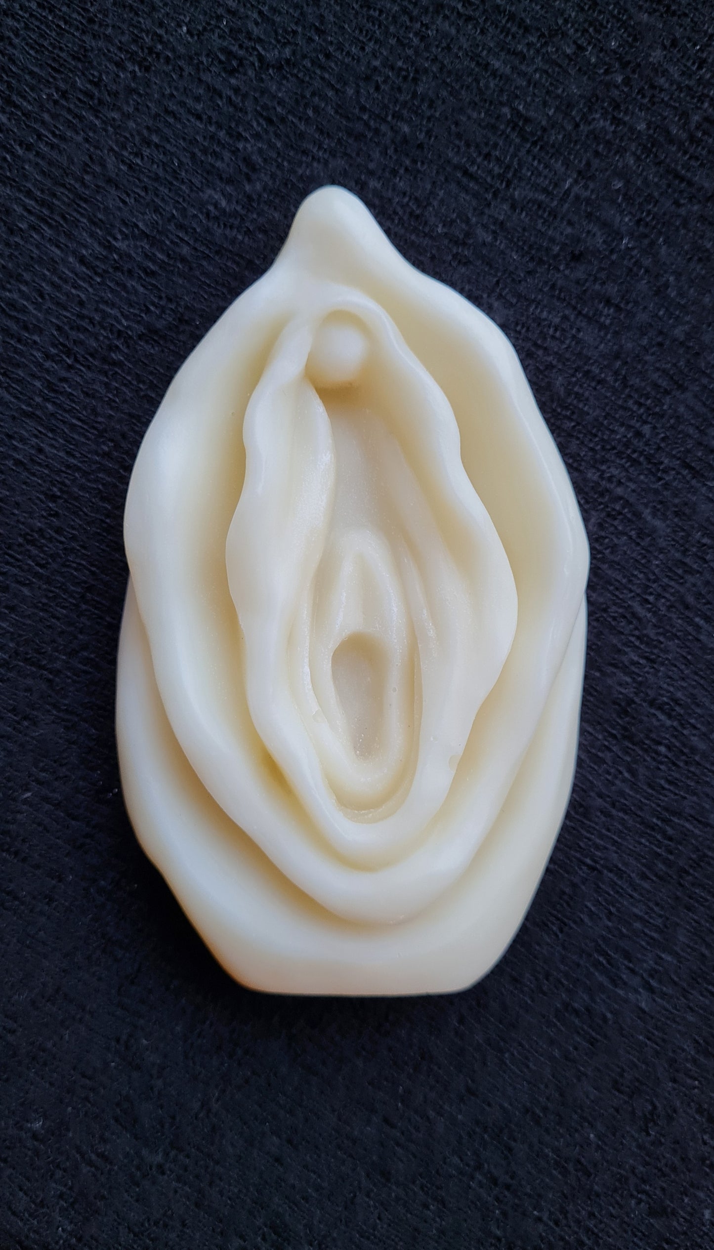 Talgvulva