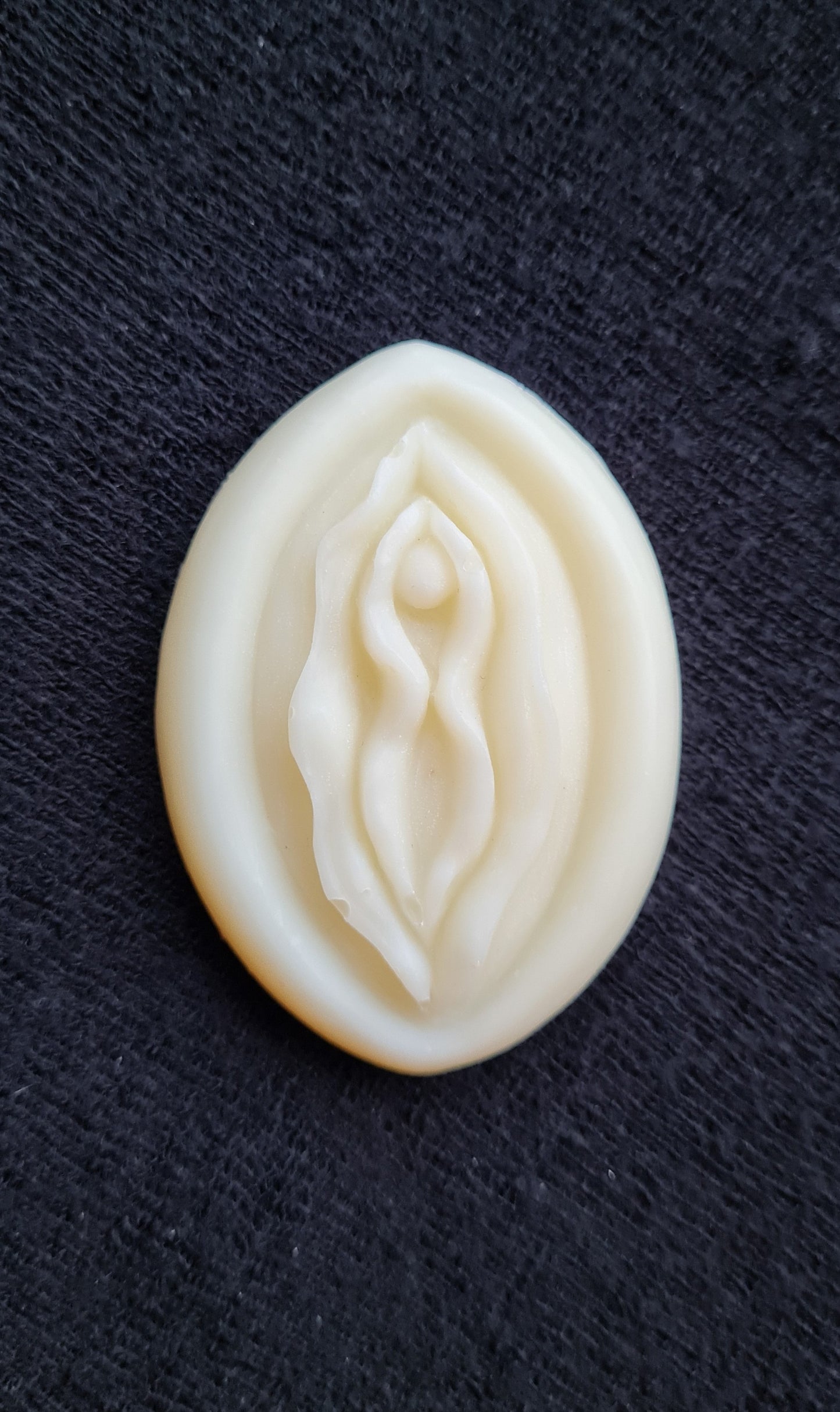 Talgvulva