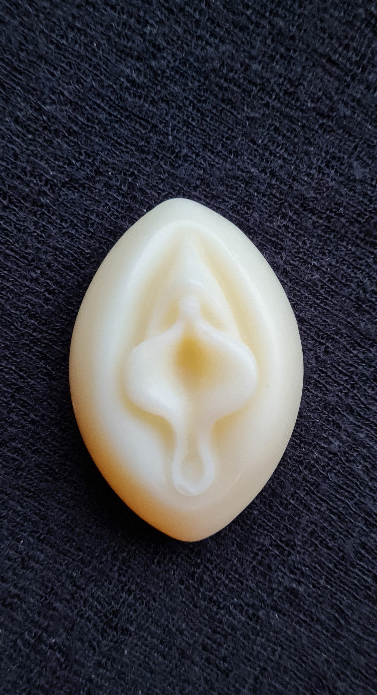 Talgvulva